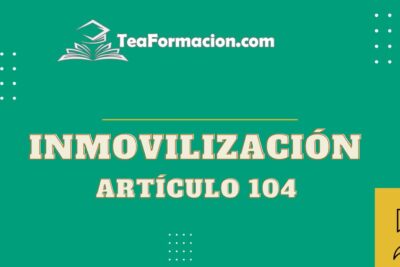 La inmovilización de vehículos.