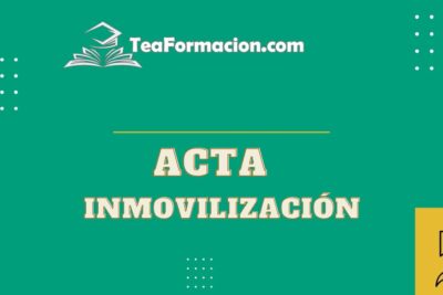El acta de inmovilización del vehículo.